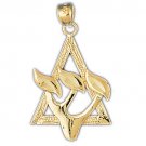 14K GOLD JEWISH CHARM - STAR OF DAVID #9216