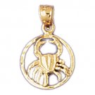14K GOLD ZODIAC CHARM - CANCER #9407