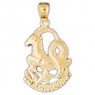 14K GOLD ZODIAC CHARM - CAPRICORN #9473