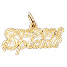 14K GOLD SAYING CHARM - SOMEONE SPECIAL #10268