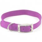 Coastal Pet Products 601 3/4" Nylon Web Collar Purple 20"