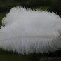 single layer White Ostrich Feather Fan Burlesque friend 25"x45"