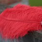 single layer Red Ostrich Feather Fan Burlesque friend 25"x45"