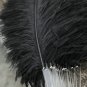 single layer Black Ostrich Feather Fan Burlesque friend 25"x45"
