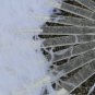 A pair White Single-layer Ostrich Feather fan 24"x41" burlesque dancer