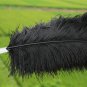 A pair Black Single-layer Ostrich Feather fan 24"x41" burlesque dancer