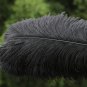 A pair Black Single-layer Ostrich Feather fan 24"x41" burlesque dancer