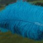 A pair Blue Single-layer large  Ostrich Feather fan 24"x41" burlesque dancer