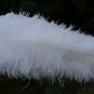White Double layers Large Ostrich Feather Fan Burlesque dancer friends 30"x 54"