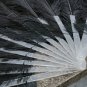 Black Double Layers Large  Ostrich Feather Fan Burlesque dancer friends 30"x 54"