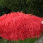 Red Double Layers Large Ostrich Feather Fan Burlesque dancer friends 30"x 54"