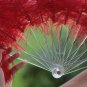 Red Double Layers Large Ostrich Feather Fan Burlesque dancer friends 30"x 54"