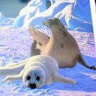 STRIKING 1993 24X36 GLOSSY ART PRINT SCHIMMEL END OF INNOCENCE HARP SEAL PUPS