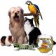 Pets