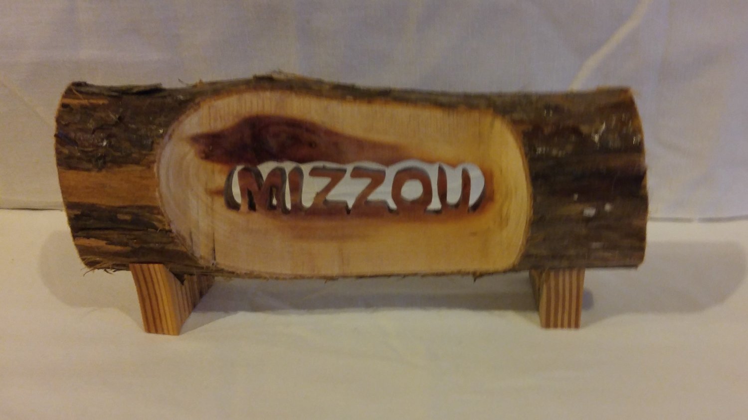 Mizzou Log