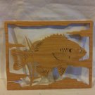 Bluegill
