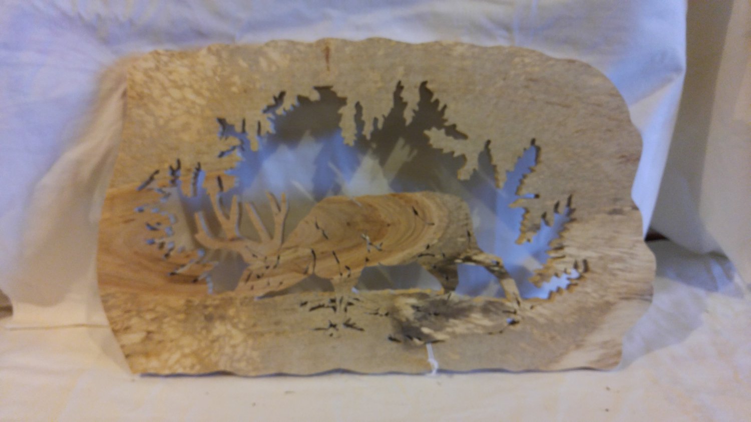 Elk scene
