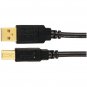AXIS 12-0080 (MP-007/PT/BL A-Male to B-Male USB 2.0 Cable (6ft)