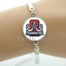 2016 Perfect Father's Day gifts case for Alabama team Newest mix 32 NFL team bracelet