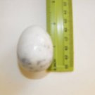 egg of stream stone , white color shading , black dots