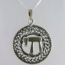 Silver 925 pendant & necklace , caption live in hebrew ! Sterling 925 Jewelry