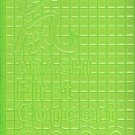 PAMPHLET - Arashi - First Concert 2000