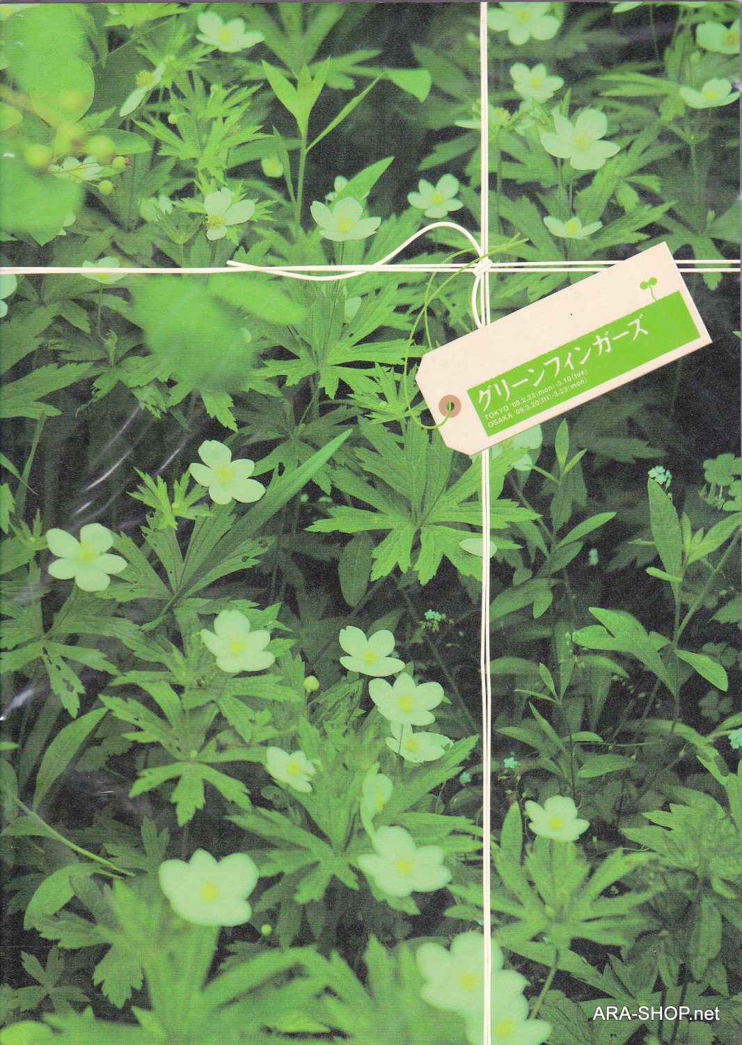 PAMPHLET - Arashi - Aiba Masaki - Green Fingers