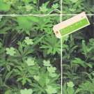 PAMPHLET - Arashi - Aiba Masaki - Green Fingers