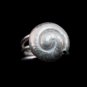 Fine Silver Rings Fashion Jewelry Ethno Argento Anello Spiral Shell snail Top