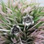 Thai Hill Tribe Earrings Pure Fine Silver Ethnic Flower Bridal Friend Party R531