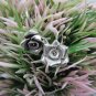 Thai Hill Tribe Earrings Pure Fine Silver Ethnic Flower Bridal Friend Party R531