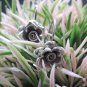 Thai Hill Tribe Earrings Pure Fine Silver Ethnic Cute Charms Flower R520