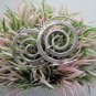 Thai Hill Tribe Earrings Pure Fine Silver Ethnic Spiral Texture Round R532