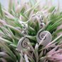 Thai Hill Tribe Earrings Pure Fine Silver Ethnic Little Cute Spiral R533