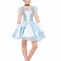 Classic Carnival Alice Costumes Nifty Fifties Fancy Dress Women's Poodle Skirt Fairy Tale Costume
