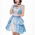 Classic Carnival Alice Costumes Nifty Fifties Fancy Dress Women's Poodle Skirt Fairy Tale Costume