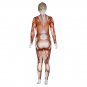 Realistic Human Body Structure Jumpsuits For Woman Stage Performance Halloween  Funny Costumes