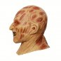 Latex Fire Burning Face Carrion Halloween Ghost Festival Headgear Terrorist Face Zombie Grimace Mask