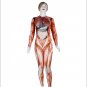 Woman American Comic Superhero Costume Sexy Super Hero Jumpsuit Masquerade Outfit