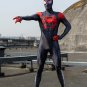 Spider Verse Cosplay Costume Miles Morales Jumpsuit Spidey Animation Movie Animated Film Outfit