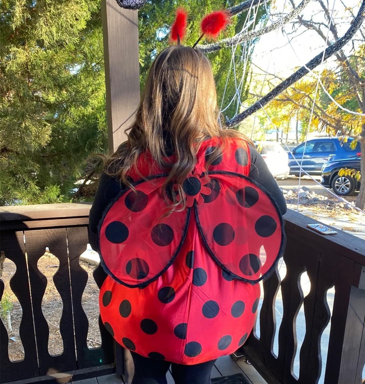 Ladybird Costume