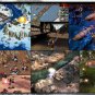 Command and Conquer: The Ultimate Edition Windows PC Game Download Origin CD-Key Global