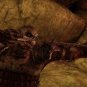 Dragon Age: Origins Windows PC Game Download GOG CD-Key Global