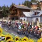 Pro Cycling Manager 2015 Windows PC Game Download Steam CD-Key Global