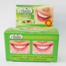 RASYAN ISME HERBAL CLOVE TOOTHPASTE ANTI BACTERIA 25g