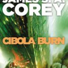 Cibola Burn (Expanse Series #4) Hardcover Best seller