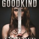 Severed Souls (Richard and Kahlan Series #3) Hardcover Best seller