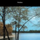 Walden (with Introductions by Bradford Torrey and Raymond Macdonald Alden) Hardcover Best seller