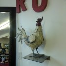 Rooster