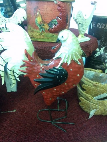 Standing Rooster